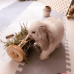 Rouleaux de foin pour petits animaux