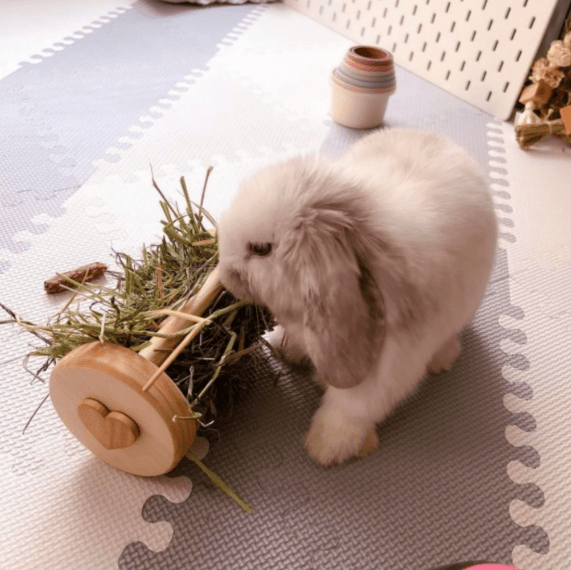 Rouleaux de foin pour petits animaux