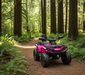 Can-Am Outlander 4X4 24V 2 places, quad pour enfant, modèle 2026