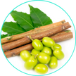 All Natural Healing Skin Butter