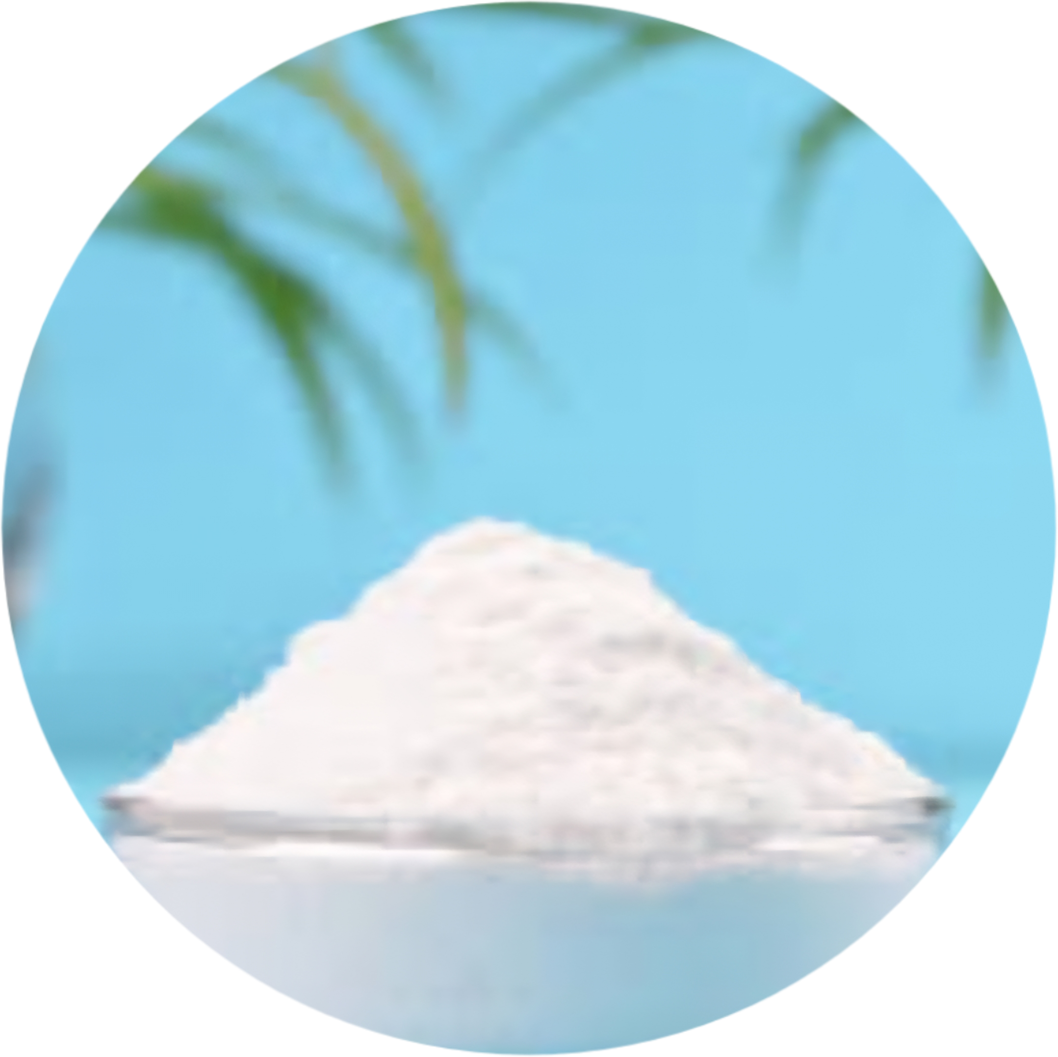 ALL NATURAL KOJIC ACID SKIN BUTTER
