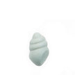Seashell