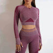 Seamless Yoga Pants Sports Gym Fitness Leggings Or Long Sleeve Tops Outfit