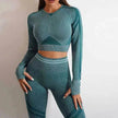 Seamless Yoga Pants Sports Gym Fitness Leggings Or Long Sleeve Tops Outfit