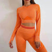 Seamless Yoga Pants Sports Gym Fitness Leggings Or Long Sleeve Tops Outfit