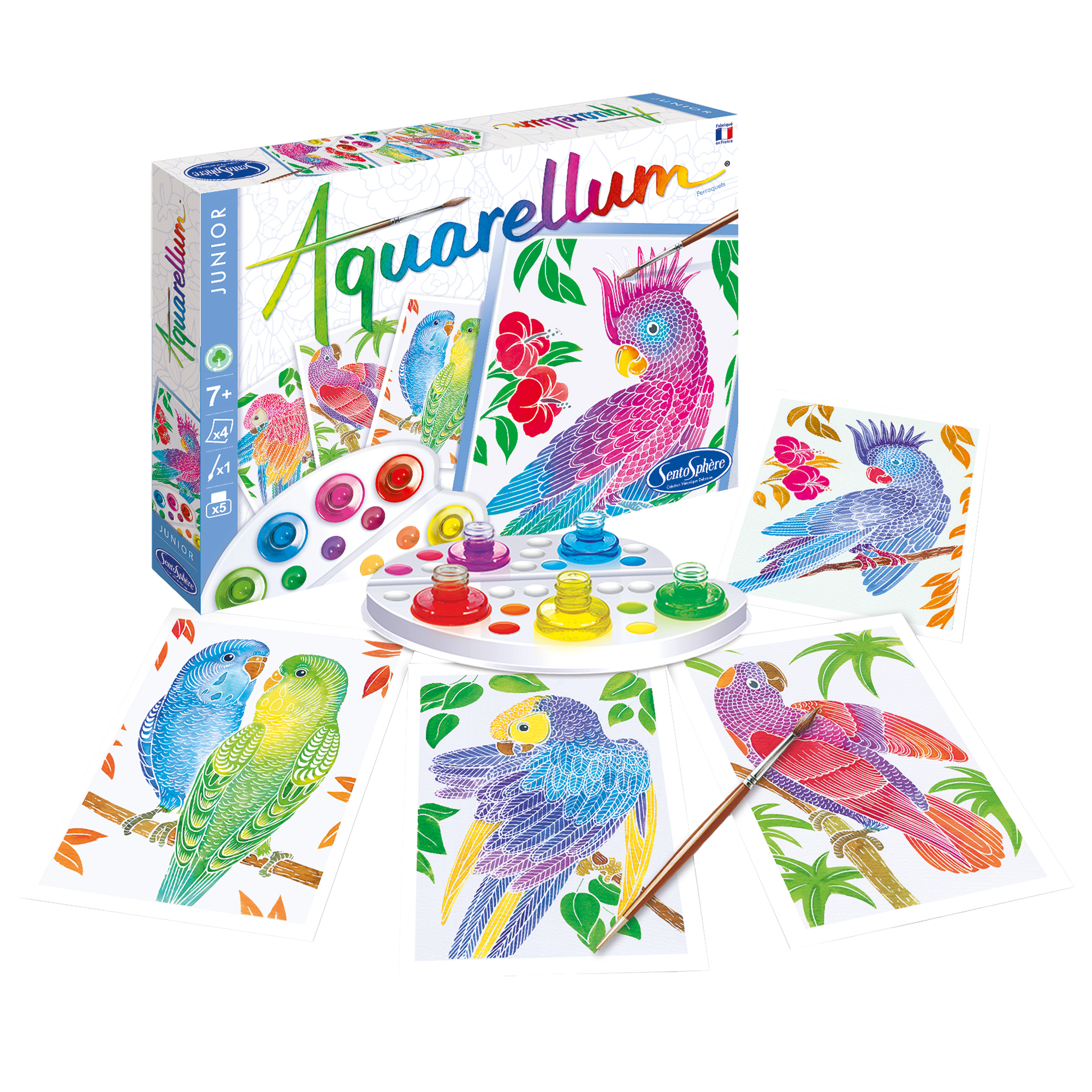 Sentosphere - Aquarellum Junior - Parrots