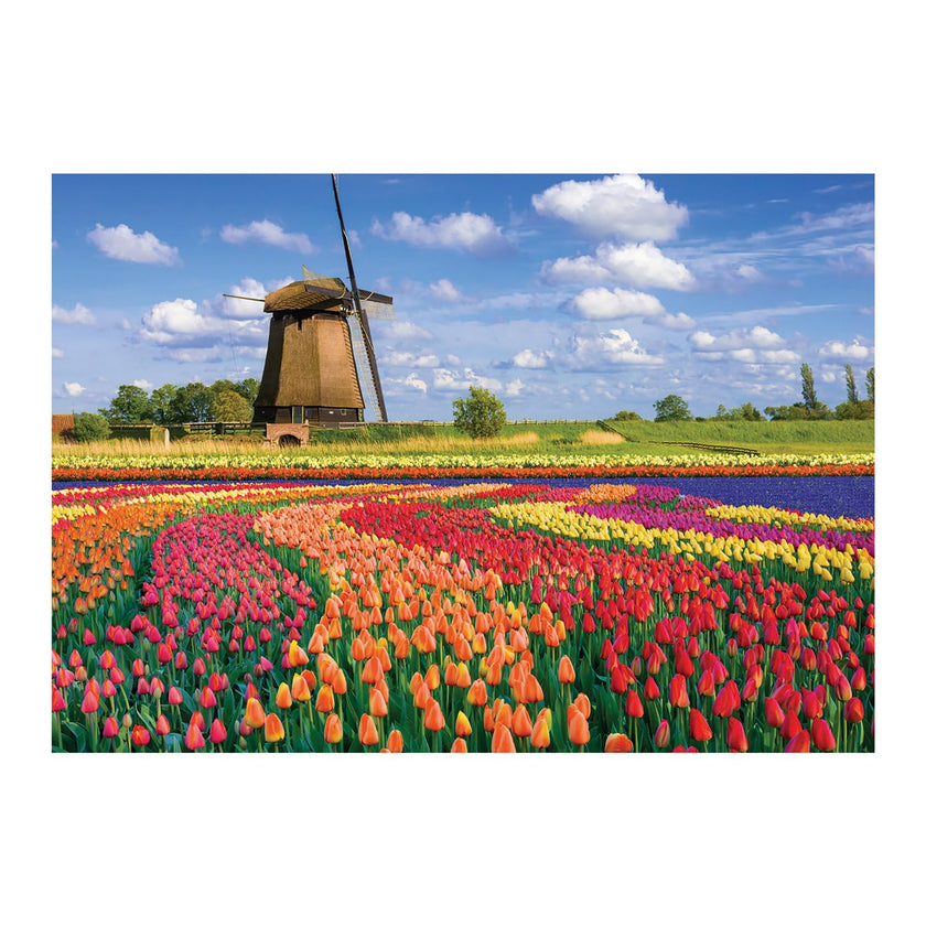Sentosphere - Puzzles 1000 pieces 685X480mm LANDSCAPE - Tulip fields - Hol