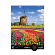 Sentosphere - Puzzles 1000 pieces 685X480mm LANDSCAPE - Tulip fields - Hol