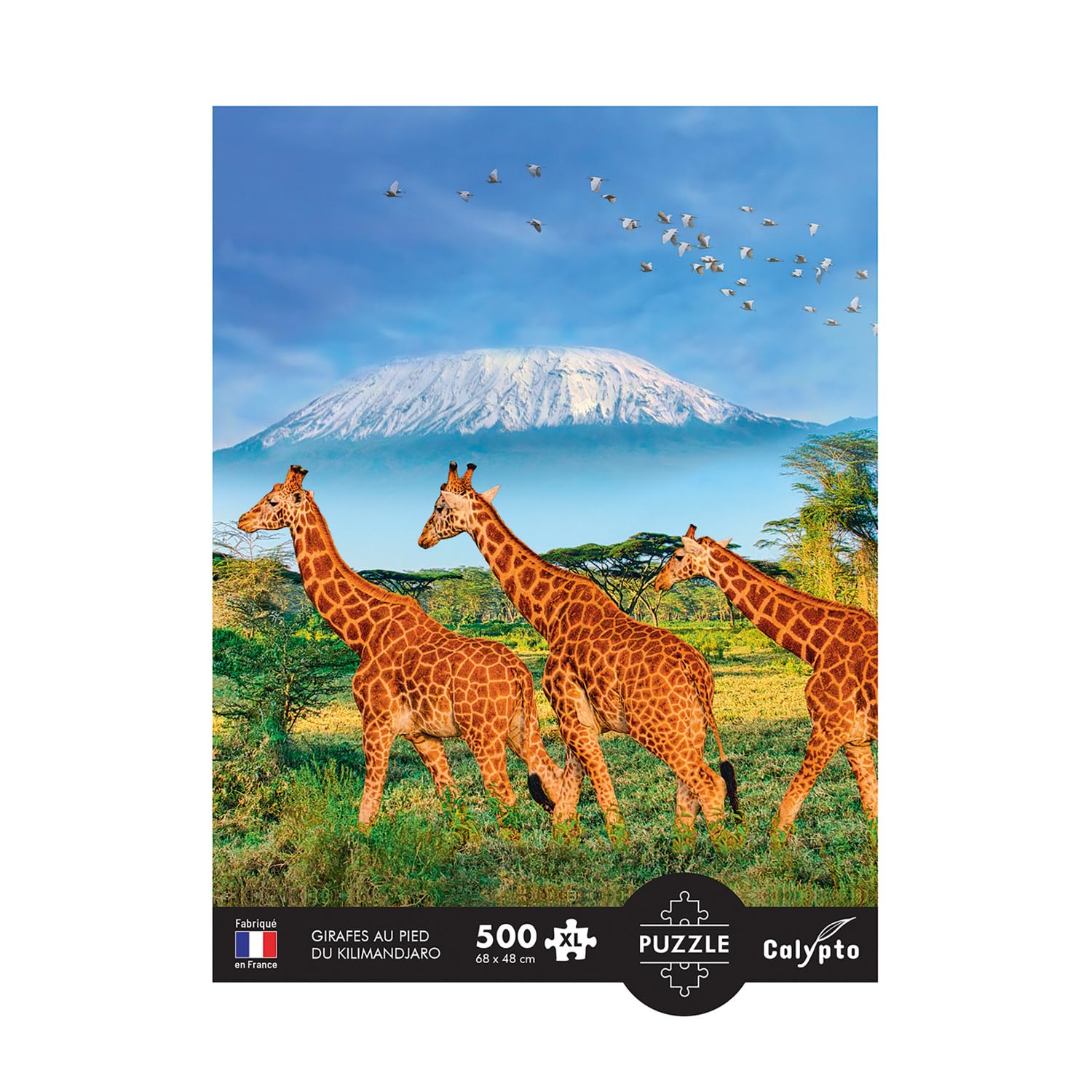 Sentosphere - Puzzles 500 pieces XL 685X480mm Giraffes