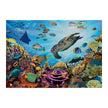 Sentosphere - Puzzles 500 pieces XL 685X480mm Seabed