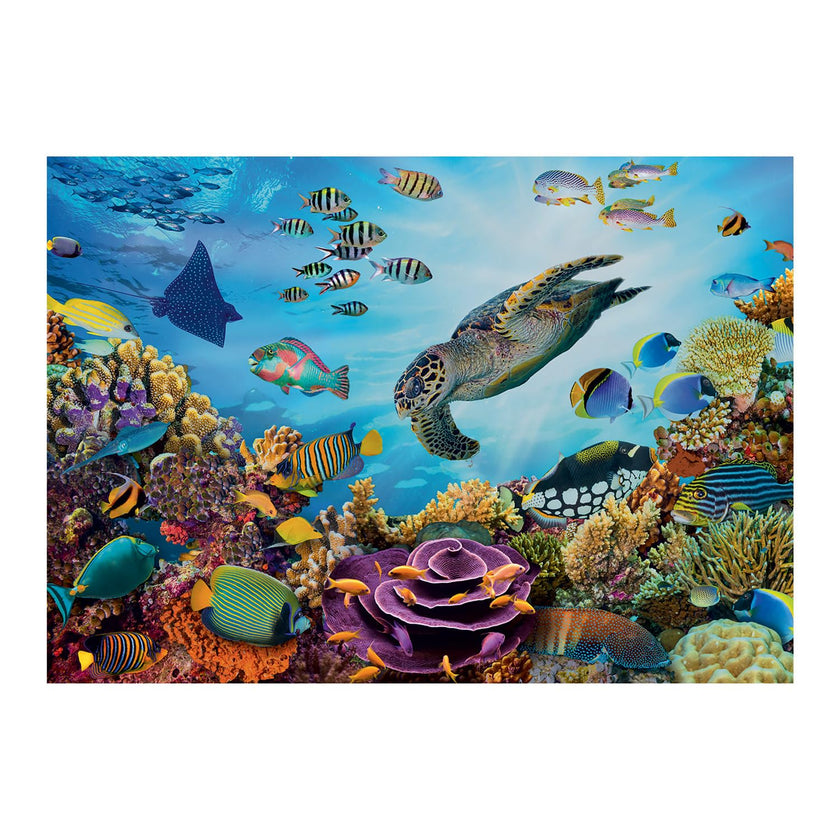 Sentosphere - Puzzles 500 pieces XL 685X480mm Seabed