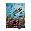 Sentosphere - Puzzles 500 pieces XL 685X480mm Seabed
