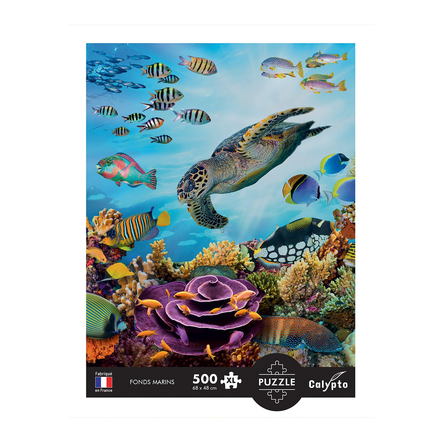 Sentosphere - Puzzles 500 pieces XL 685X480mm Seabed