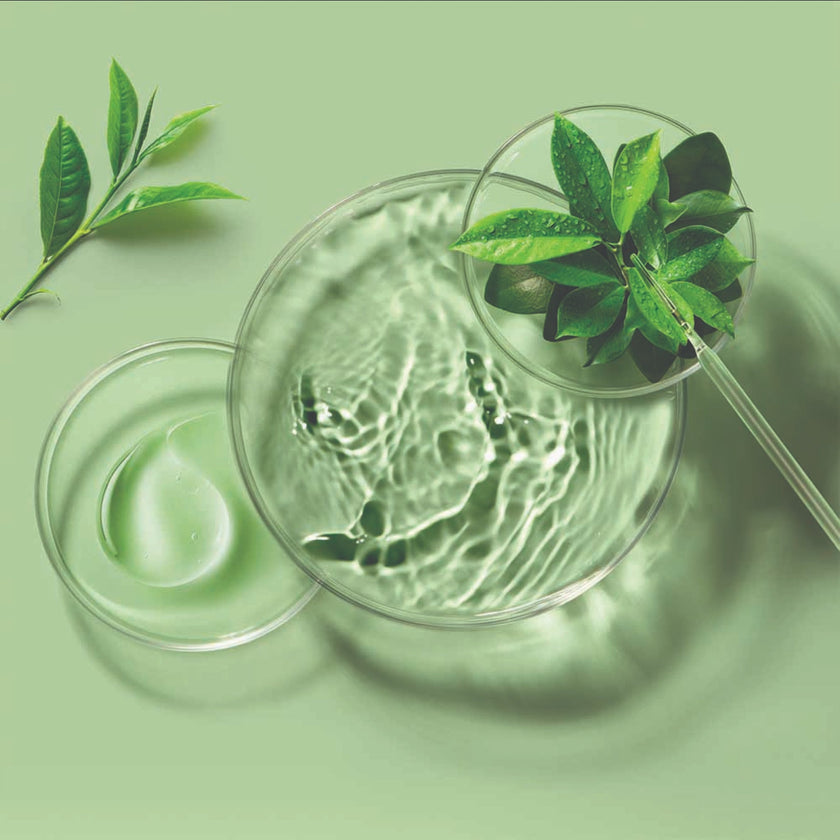 FOREO Green Tea Sheet Mask (3x)