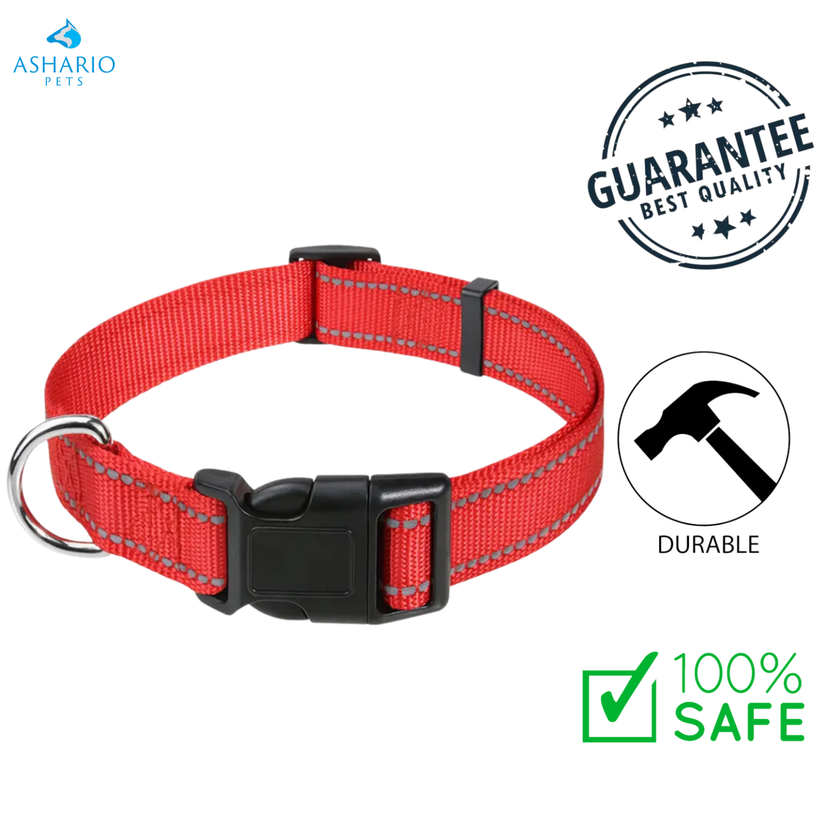 Ashario Pets - Reflective Adjustable Nylon Dog Collar - Small