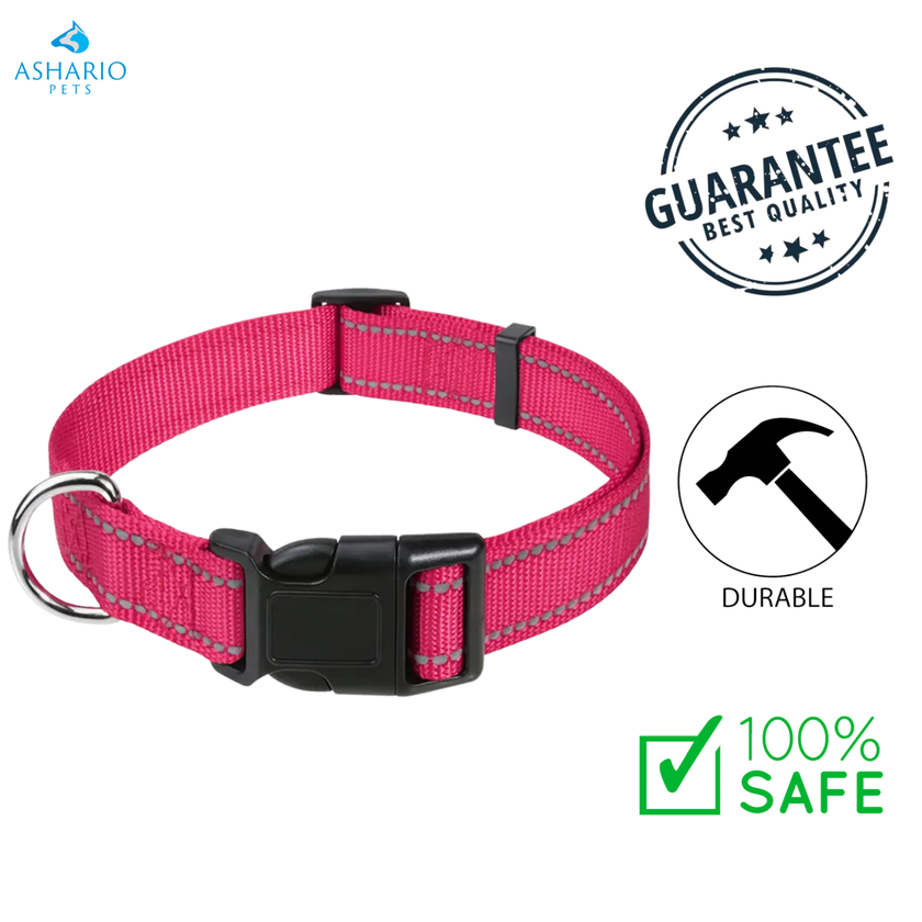 Ashario Pets - Reflective Adjustable Nylon Dog Collar - Small