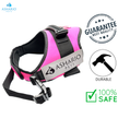 Ashario Pets - 