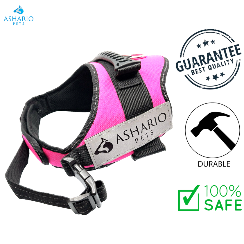 Ashario Pets - 