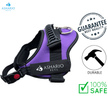 Ashario Pets - 