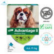 Advantage II - Flea & Tick Medicine