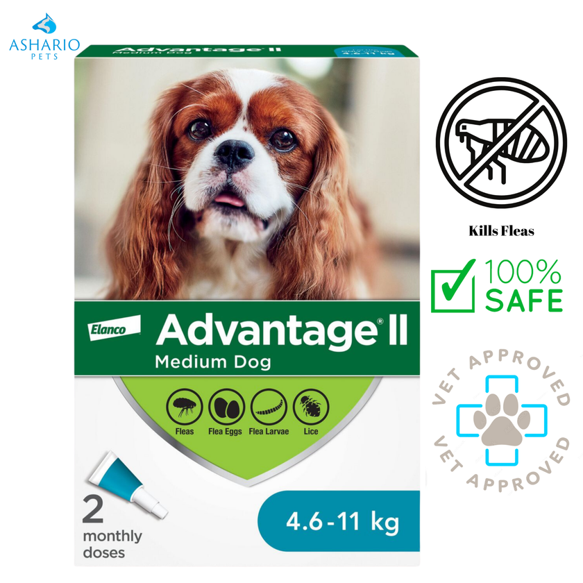 Advantage II - Flea & Tick Medicine