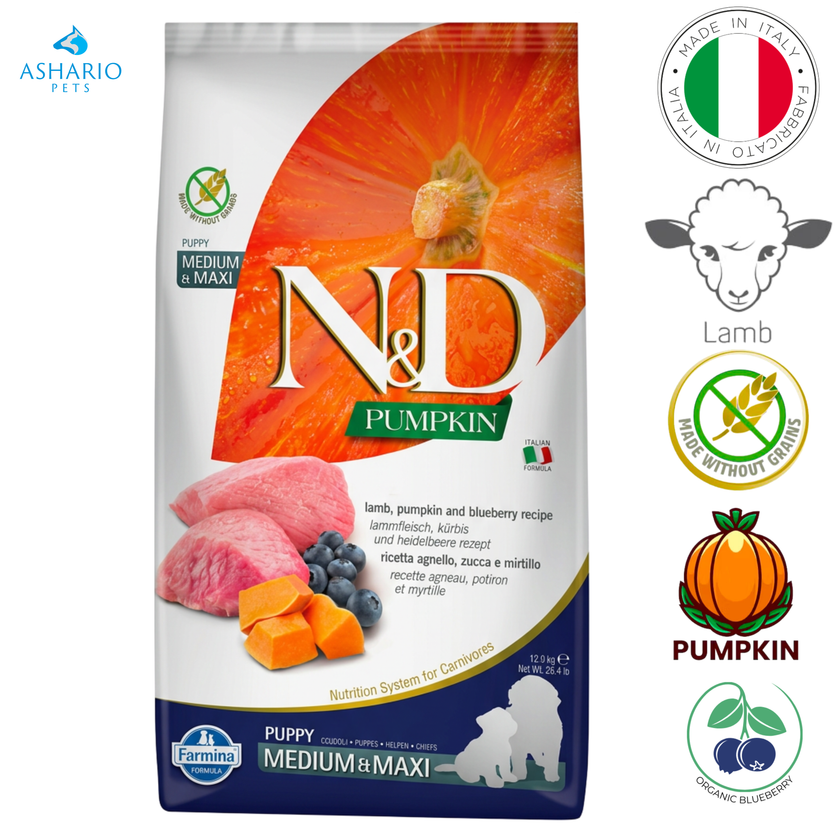 Farmina - Pumpkin Lamb & Blueberry Medium & Maxi Puppy Dry Dog Food