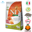 Farmina - Pumpkin Boar & Apple Adult Mini Dry Dog Food