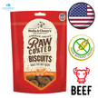 Stella & Chewy's - Grain Free Beef Raw Coated Biscuits Dog Treats