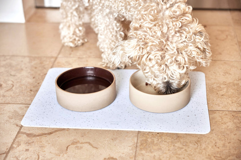 Sia Dog Bowl - Large