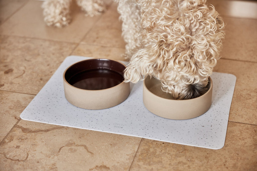 Sia Dog Bowl - Large