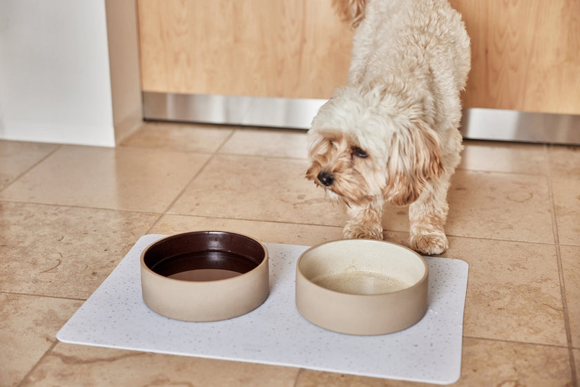 Sia Dog Bowl - Small