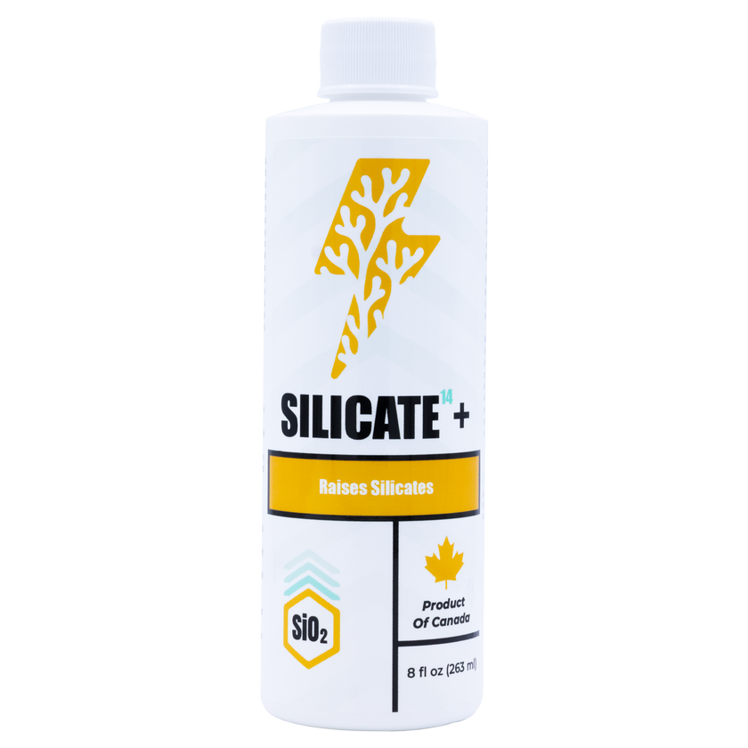 Silicate¹⁴+