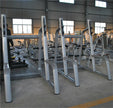Squat Rack (AN50)