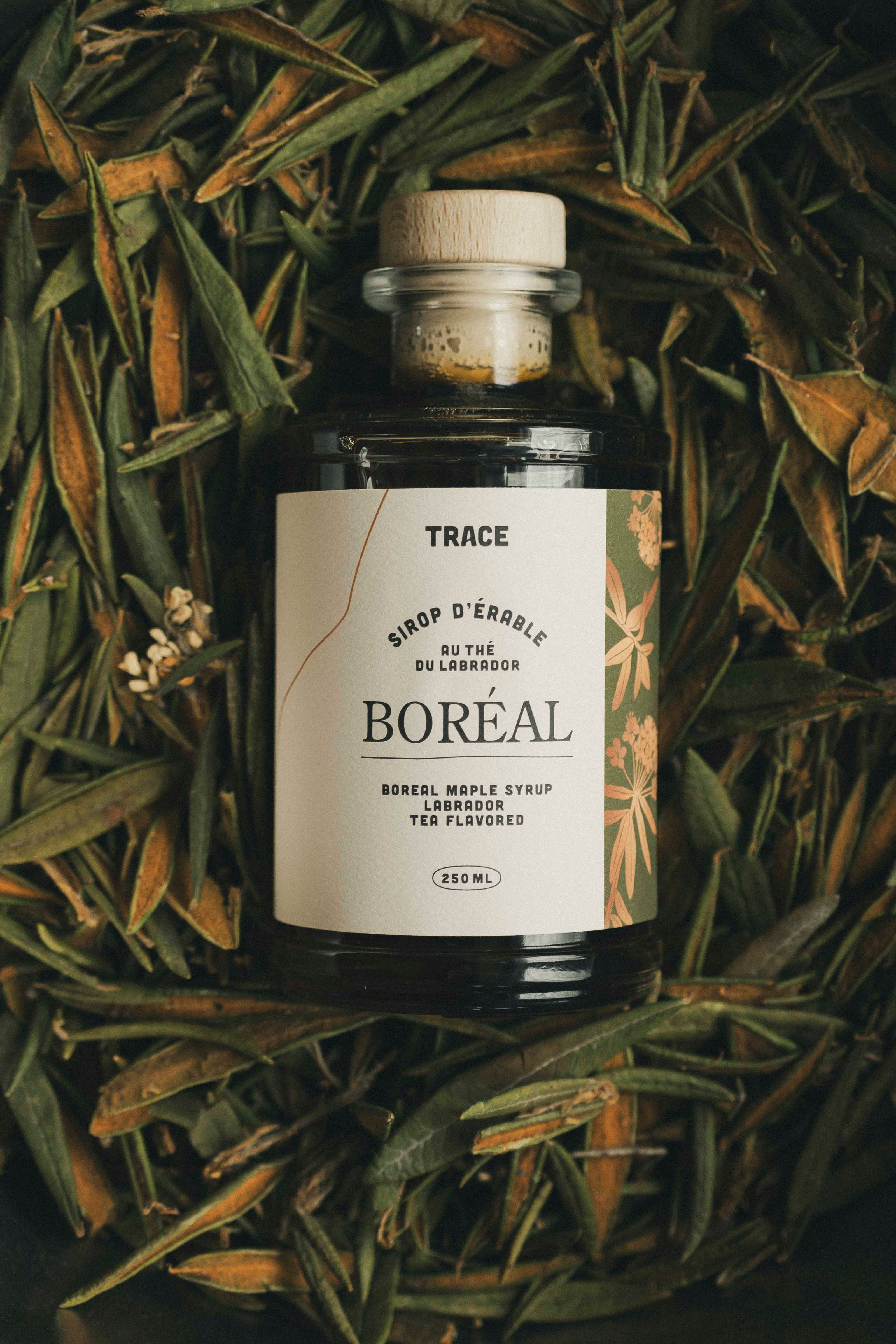 Sirop d'érable boréal - Thé du Labrador