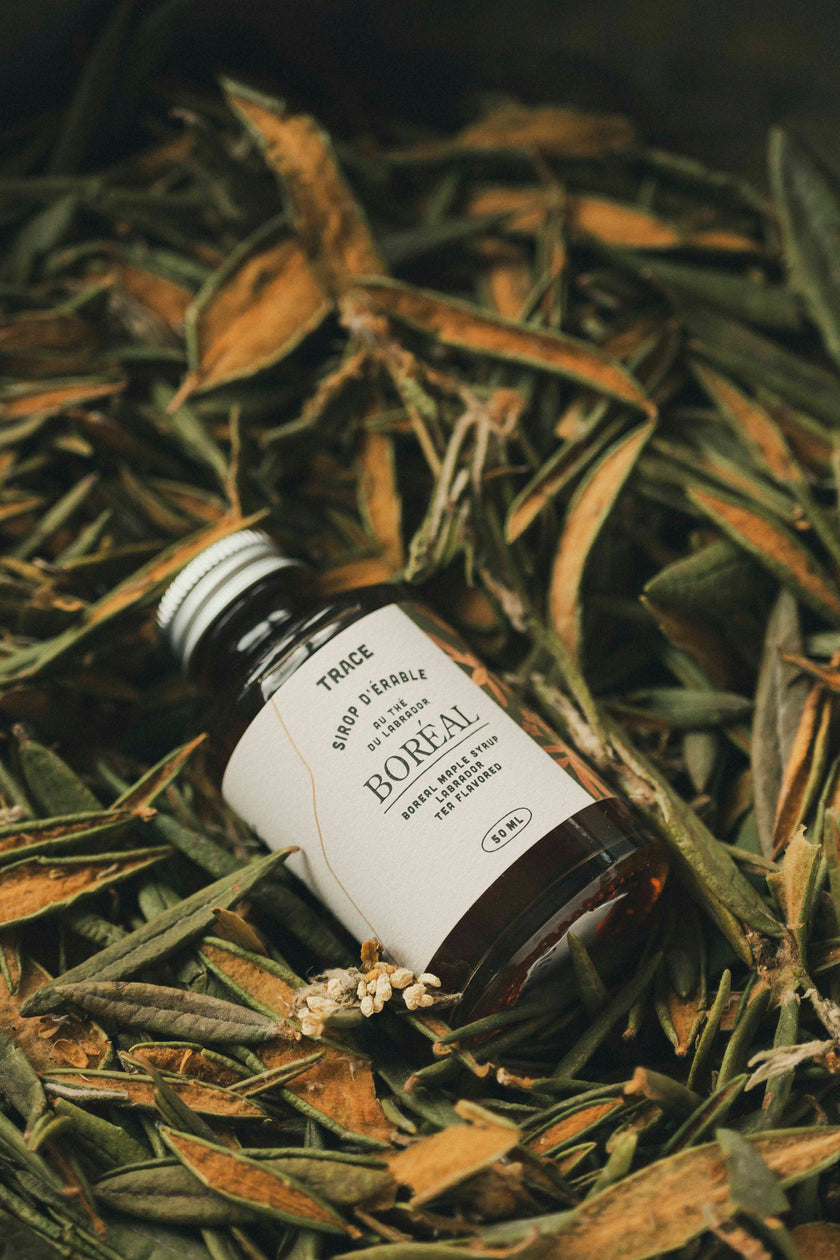 Sirop d'érable boréal - Thé du Labrador