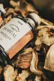 Sirop d'érable boréal - Champignon crabe