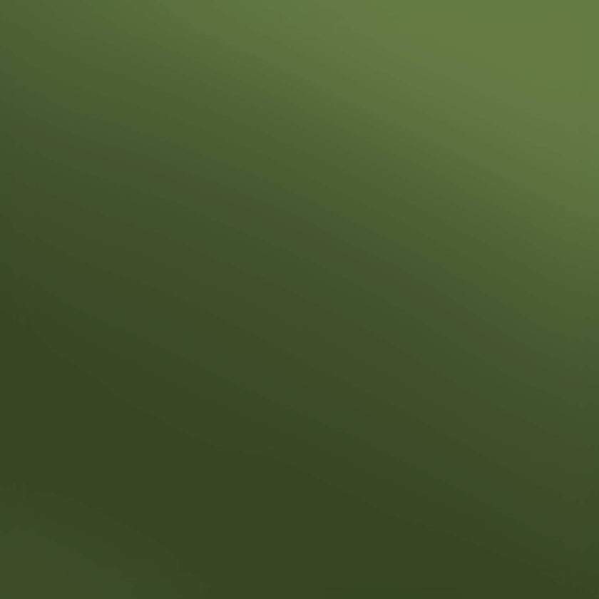 Siser Olive Electric