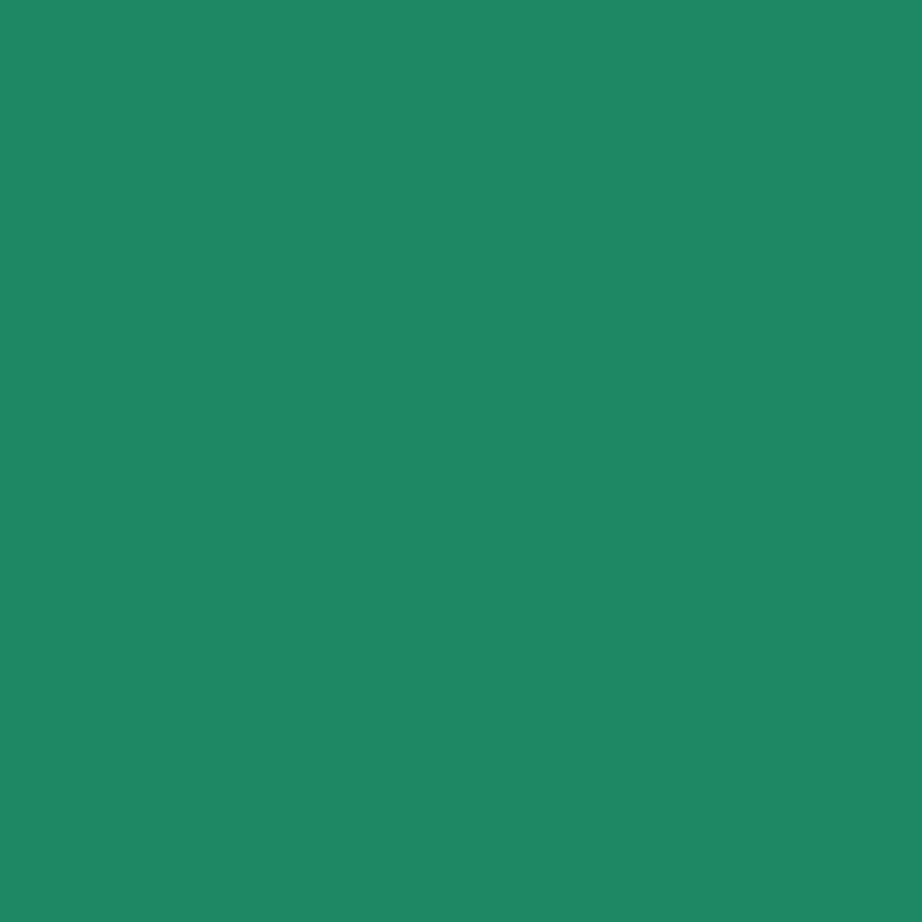 Siser Easyweed Cadette Green 12
