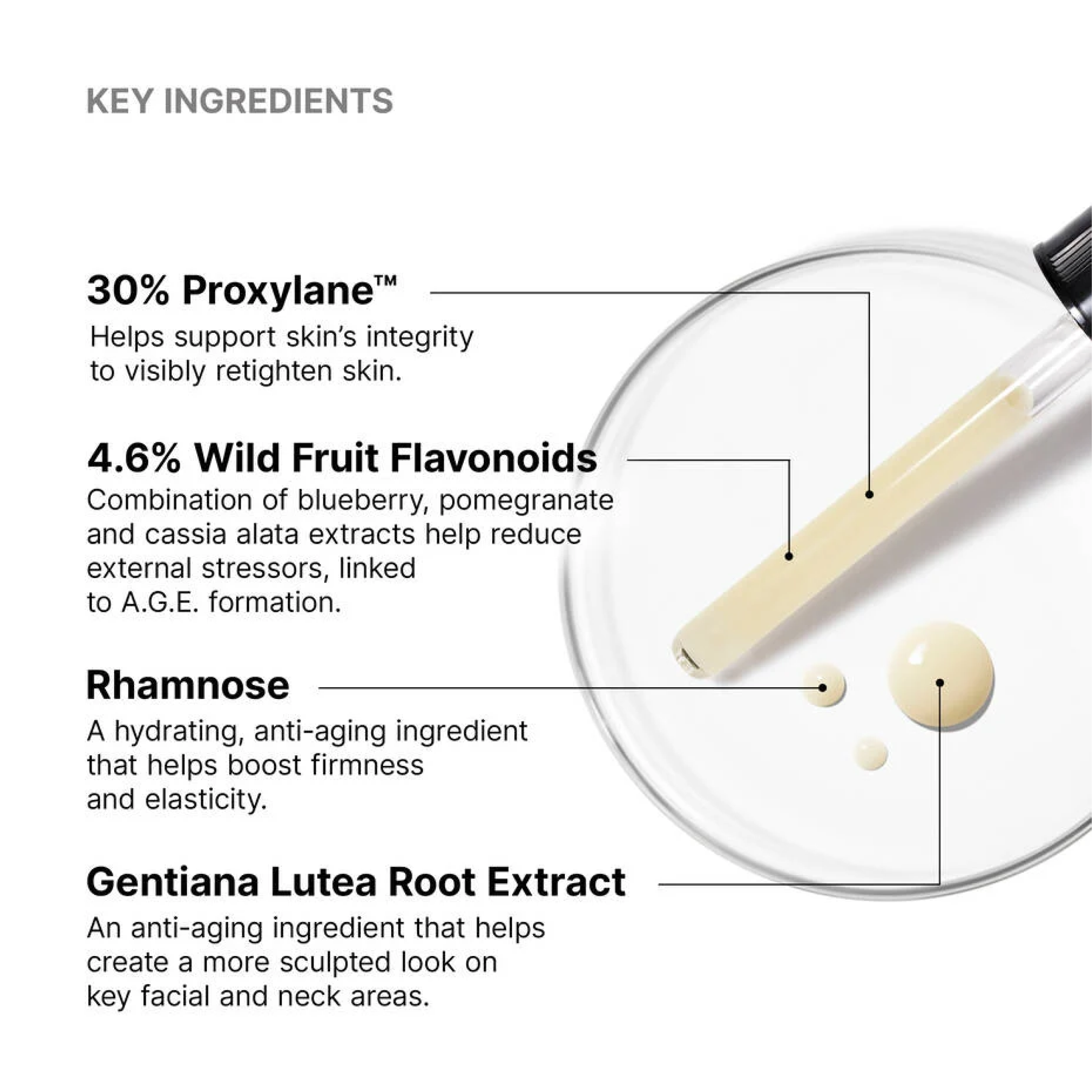 SkinCeuticals AGE Interrupter Ultra Serum