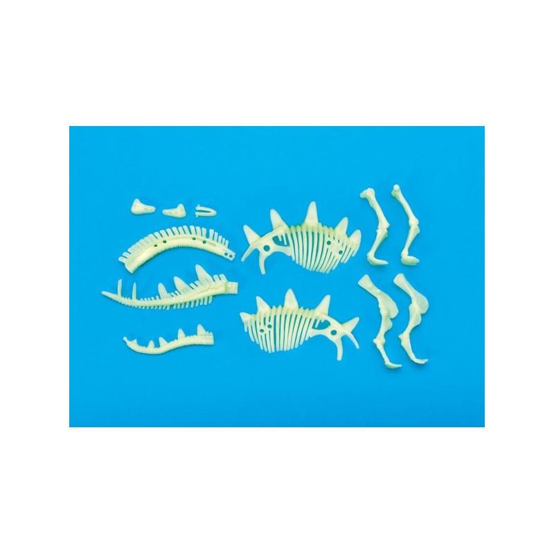 Small Foot - Glow Dinos Stegosaurus Skeleton
