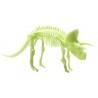 Small Foot - Glow Dinos Triceratops Skeleton
