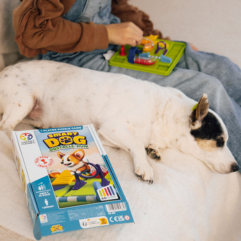 Smart Games - Smart Dog, Obstacle Run