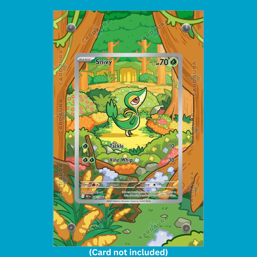 Snivy 087/086 Black Bolt (Ungraded) Display Case