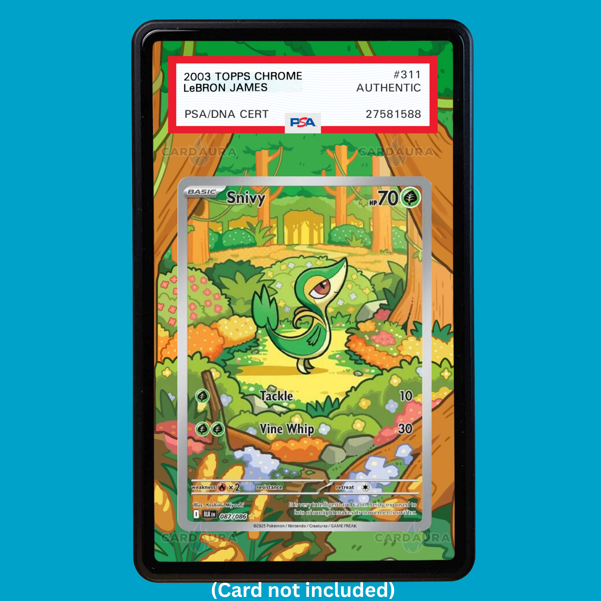 Snivy 087/086 Black Bolt (Graded) Display Case