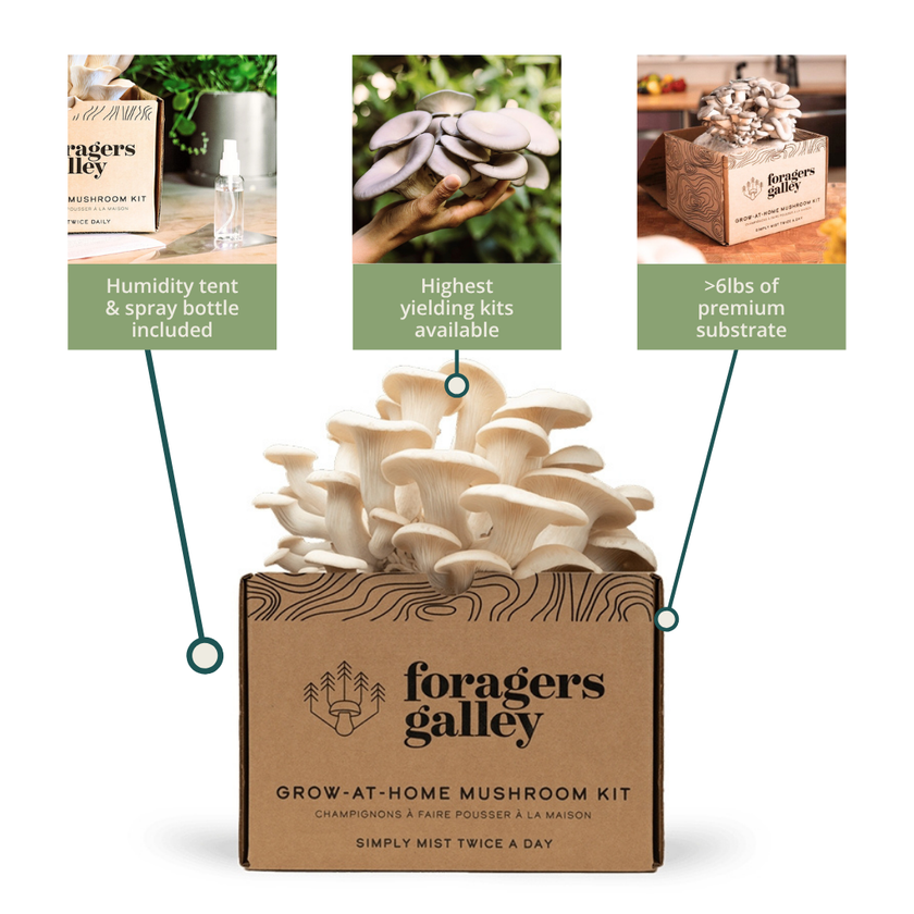 Ultimate Grower's Bundle — Three Kits