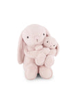 Plush - Frankie the Hugging Bunny - Blossom - Snuggle Bunnies