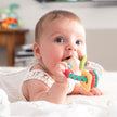 Sophie - Il etait Une Fois : Multi - Textured Rattle