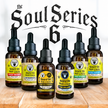 The SoulSeries Six Collector's Bundle (6-Piece Beard Oils Set) | Complete Collection with Limited Edition Collector Cards | Handcrafted in Canada