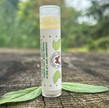 Spearmint SPF Lip Balm | 100% Natural Ingredients
