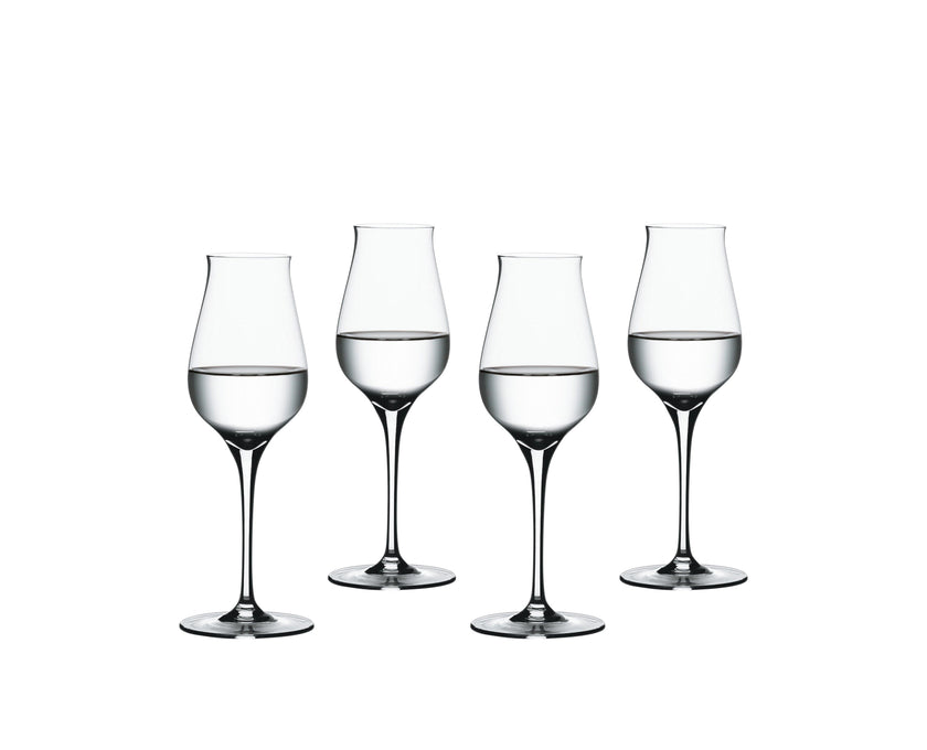 Spiegelau - AUTHENTIS - Digestive (Set of 4) | 6 oz
